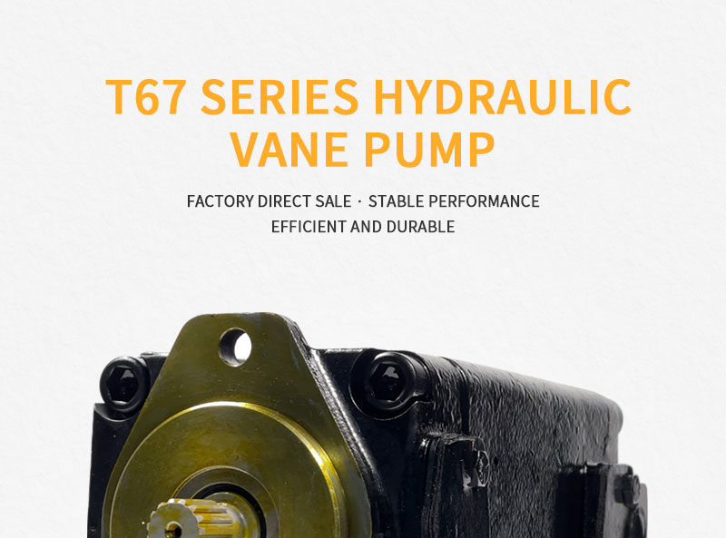 Parker Denison T67 series vane pump pic2 Denison T67 Vane Pump3