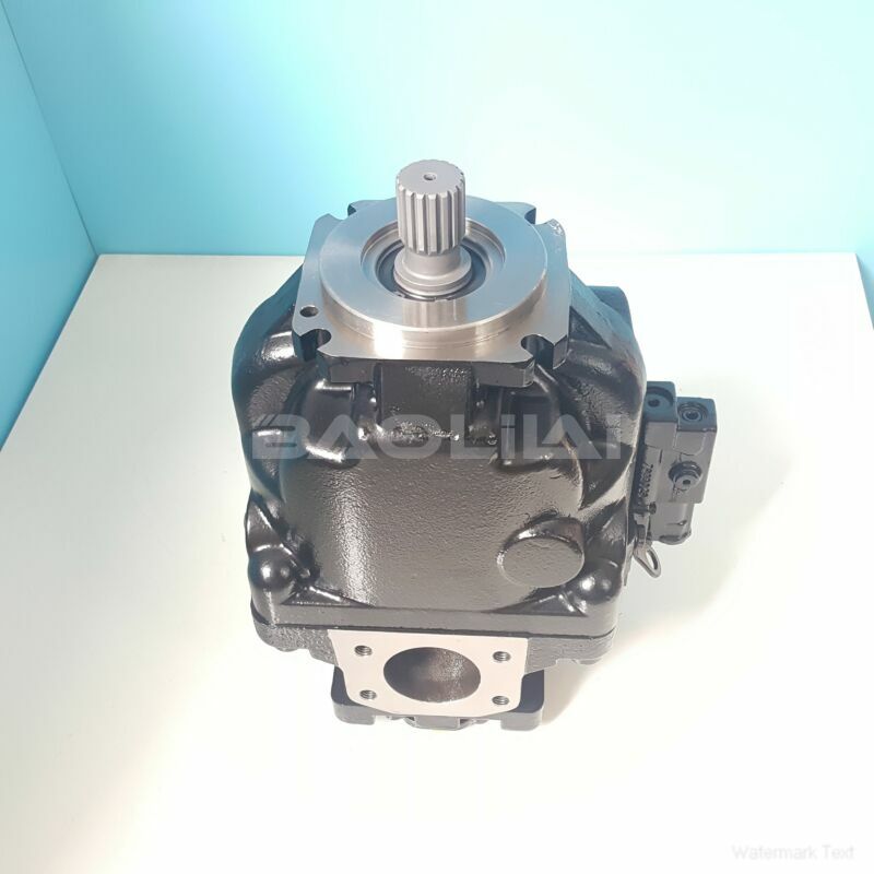ERR100BPC21NNNNN3S1CPA1NNNNNNNNNN hydraulic oil pump litpic