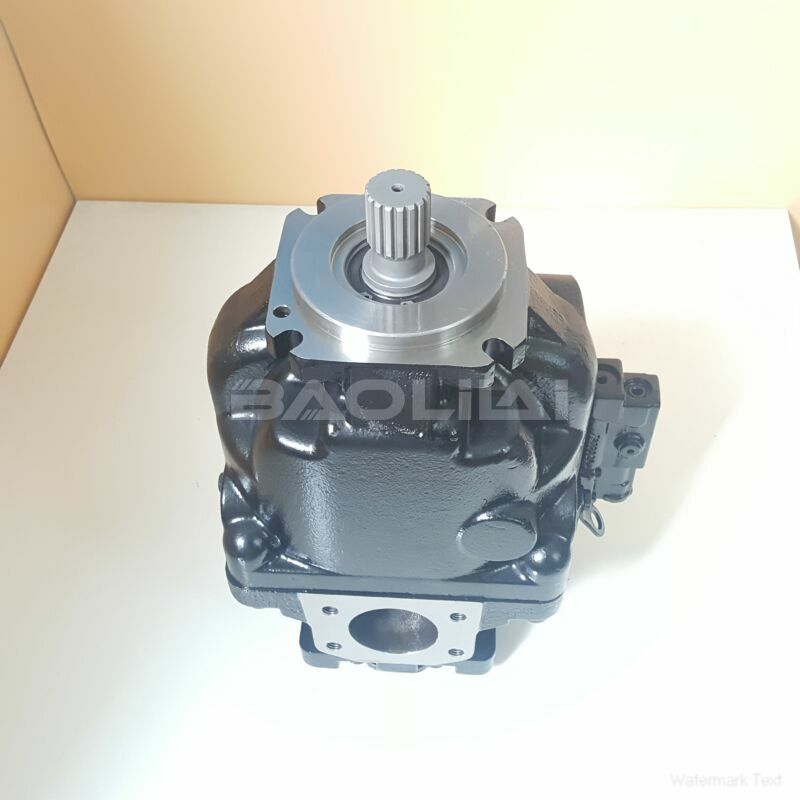 ERR130BLS2020NNN3S1NPA1NNNNNNNNNN plunger pump litpic
