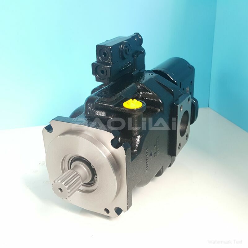 FRR074BBS3120NNN3S1B2A1NNNNNNNNNN piston pump litpic