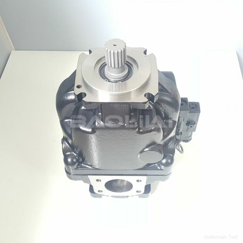 ERL100BBS3020NNN3S1BPA1NAAANNNNNN hydraulic oil pump litpic