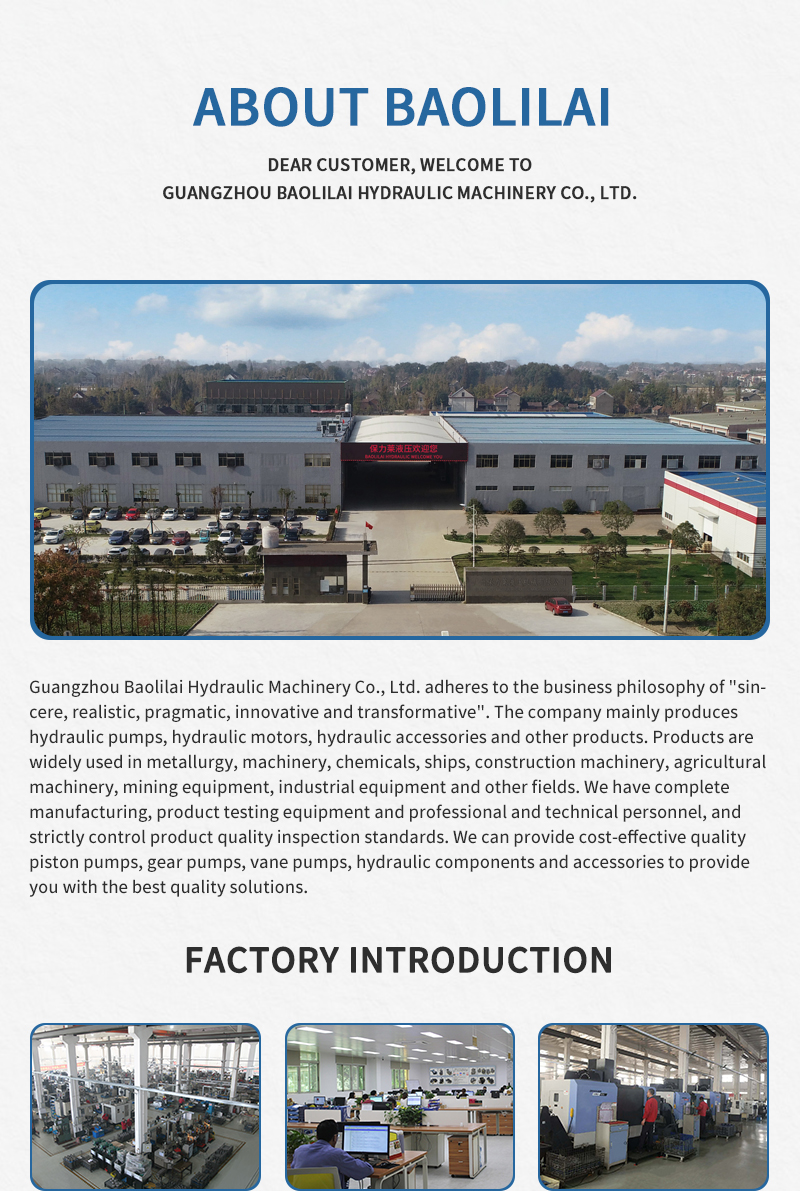 Baolilai hydraulic pump