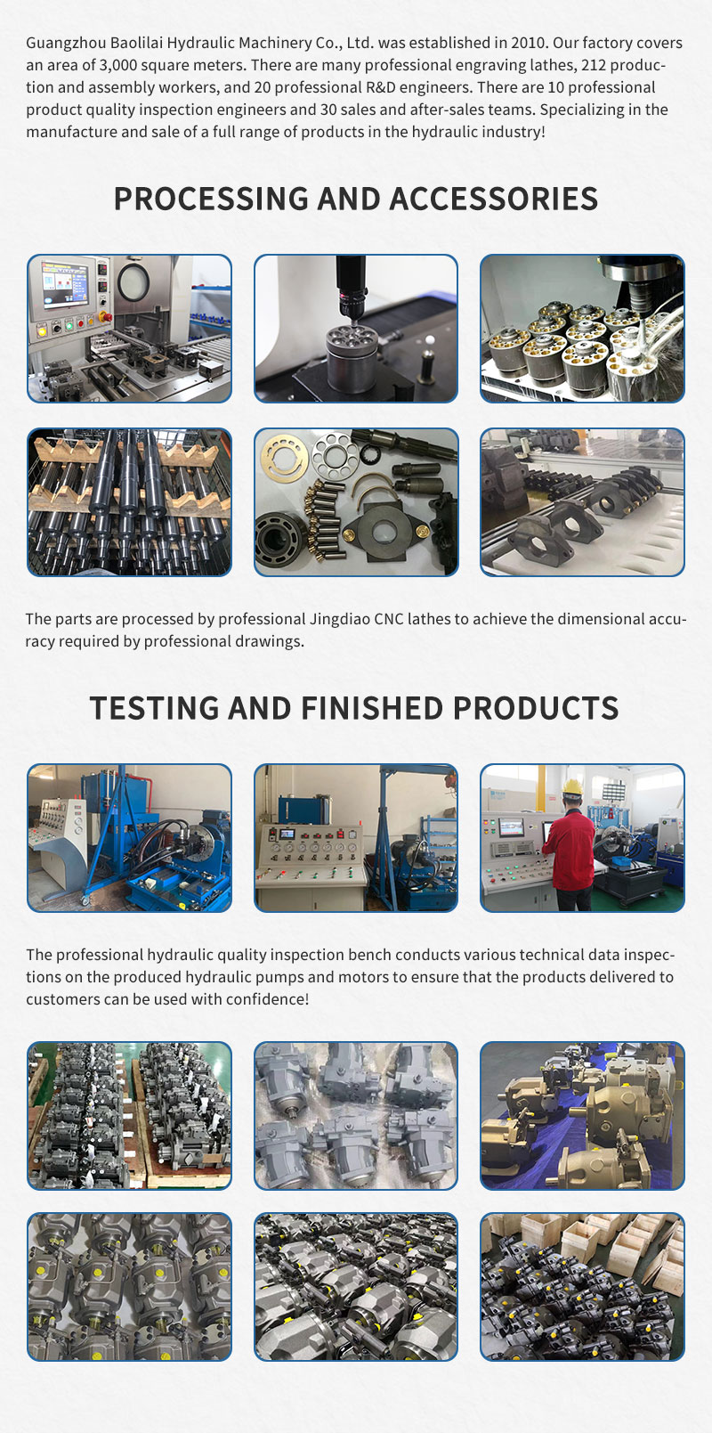 Baolilai hydraulic pump